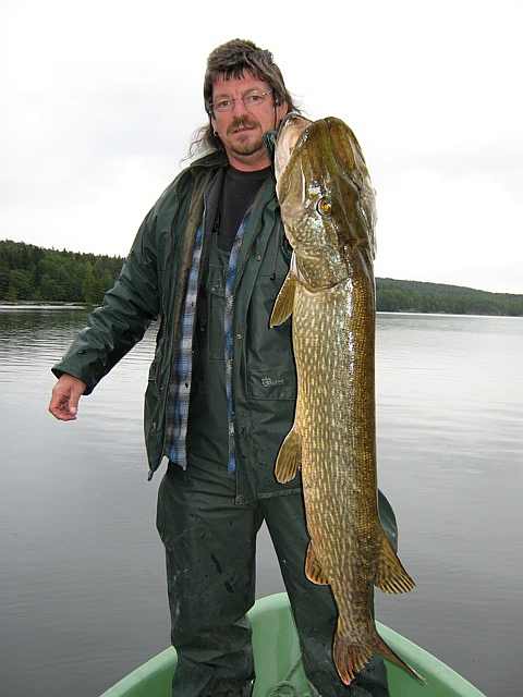 Na? Lust auf so einen Räuber? Na? Lust auf so einen Räuber?